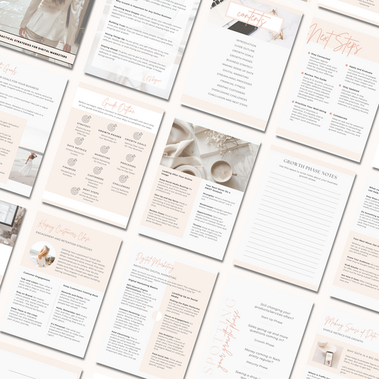 The Beginners Guide to Online Business Growth